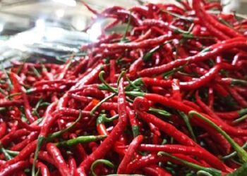 Laju Inflasi Aceh pada 2024 Diramal Masih Tinggi, BI Beberkan Strategi 4K