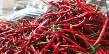 Laju Inflasi Aceh pada 2024 Diramal Masih Tinggi, BI Beberkan Strategi 4K