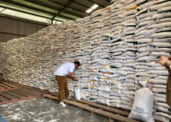 Pemerintah Aceh Salurkan Ribuan Ton Beras Bantuan Pekan Depan