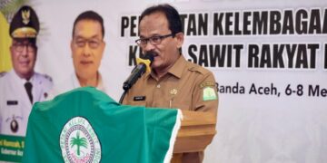 Perlunya Peningkatan Kemitraan Demi Produktivitas Sawit Rakyat di Aceh