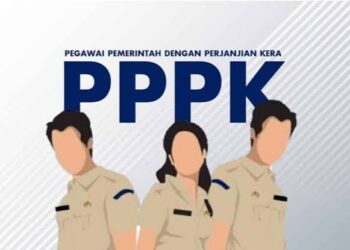 Kapan PPPK 2024 dibuka? Berikut Penjelasan Menpan-RB