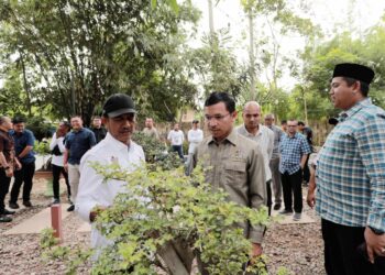 Pelatihan Bonsai Di Banda Aceh: Potensi Ekonomi Dan Peluang Wisata