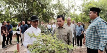 Pelatihan Bonsai Di Banda Aceh: Potensi Ekonomi Dan Peluang Wisata