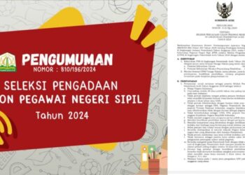 Formasi CPNS Aceh 2024: Pemerintah Aceh Terima 681 CPNS