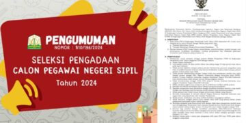 Formasi CPNS Aceh 2024: Pemerintah Aceh Terima 681 CPNS