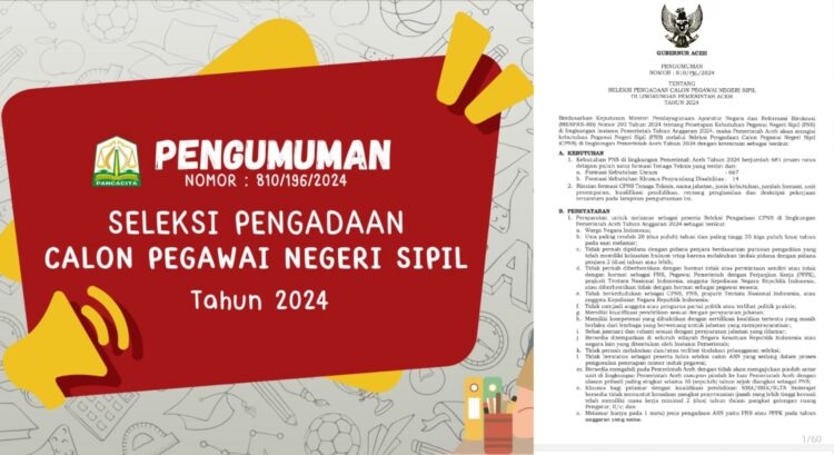 Penerimaan pendaftaran 681 CPNS Pemerintah Aceh Tahun 2024 resmi dibuka. Foto: Istimewa