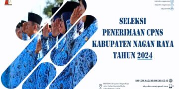 Seleksi CPNS 2024 Nagan Raya Terima Sebanyak 156 Formasi, Cek Link PDF Disini