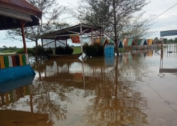 Update Terkini: Banjir Aceh Singkil Menggenangi 6.149 KK, 22.557 Jiwa Terdampak