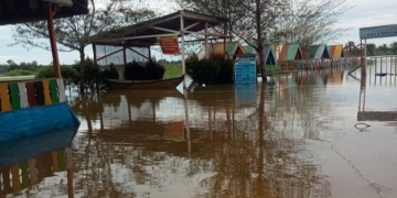 Update Terkini: Banjir Aceh Singkil Menggenangi 6.149 KK, 22.557 Jiwa Terdampak