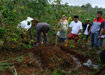 Pertamina edukasi petani kopi di Bener Meriah