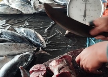 Harga Ikan Tongkol Murah di Pasar Singkil, Sementara Cabai Merah dan Bahan Pokok Lainnya Melonjak