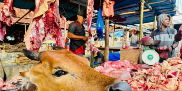 Stok Ternak Aceh Barat Cukup Untuk Penuhi Kebutuhan Daging Segar Saat Meugang Ramadhan 2025