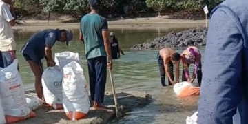 Nelayan Gampong Matang Peulawi Keruk Muara Sungai Agar Bisa Melaut, Tanpa Dukungan Pemerintah
