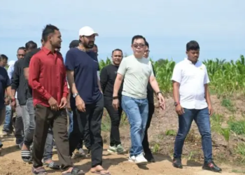 Tinjau Lahan Rencana Pembangunan Pabrik Rokok di Aceh Utara, Mualem : Pembangunan Langsung Dimulai Sekarang!