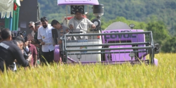 Pemerintah Aceh Targetkan Panen Padi 1,6 Juta Ton pada 2025