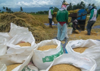 NTP Petani Aceh Turun Tipis April 2025, Daya Beli Masih Terjaga