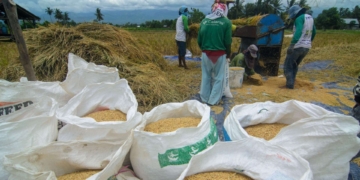 NTP Petani Aceh Turun Tipis April 2025, Daya Beli Masih Terjaga