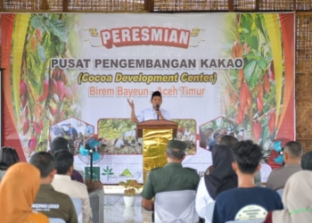 Wagub Fadhlullah Resmikan Pusat Pelatihan Budidaya Bibit Kakao Unggul di Aceh Timur