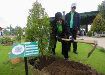 Dukung Pelestarian Lingkungan, Wali Kota Illiza Tanam Pohon pada Munas APEKSI
