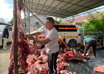 RSUD Meuraxa Gelar Kurban di Hari Raya Idul Adha 1446 H