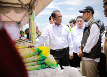 Mentan dorong Kaltara jadi lumbung pangan perbatasan-pintu ekspor