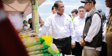 Mentan dorong Kaltara jadi lumbung pangan perbatasan-pintu ekspor