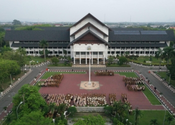 Aceh Buka Seleksi Terbuka 12 Jabatan Strategis: Transparan dan Profesional