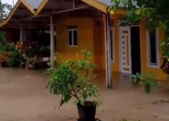 Banjir Meluas di Aceh Timur: Empat Kecamatan Terendam Banjir