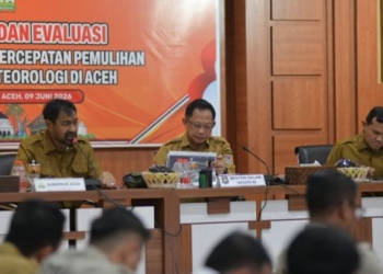 Di Hadapan Mendagri, Mualem Minta Percepatan Pemulihan Sawah dan Infrastruktur