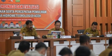 Di Hadapan Mendagri, Mualem Minta Percepatan Pemulihan Sawah dan Infrastruktur