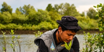 Dari Abrasi ke Aksi: Saatnya Pelajar Aceh Menanam Harapan