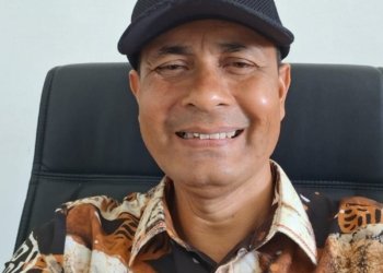 Diskominsa Bireuen Minta SKPK Segera Kirim Data Admin SP4N-LAPOR!